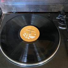 Load image into Gallery viewer, Seth Bernard - My Heart is My Home LP/CD/Tape/Zine Combo